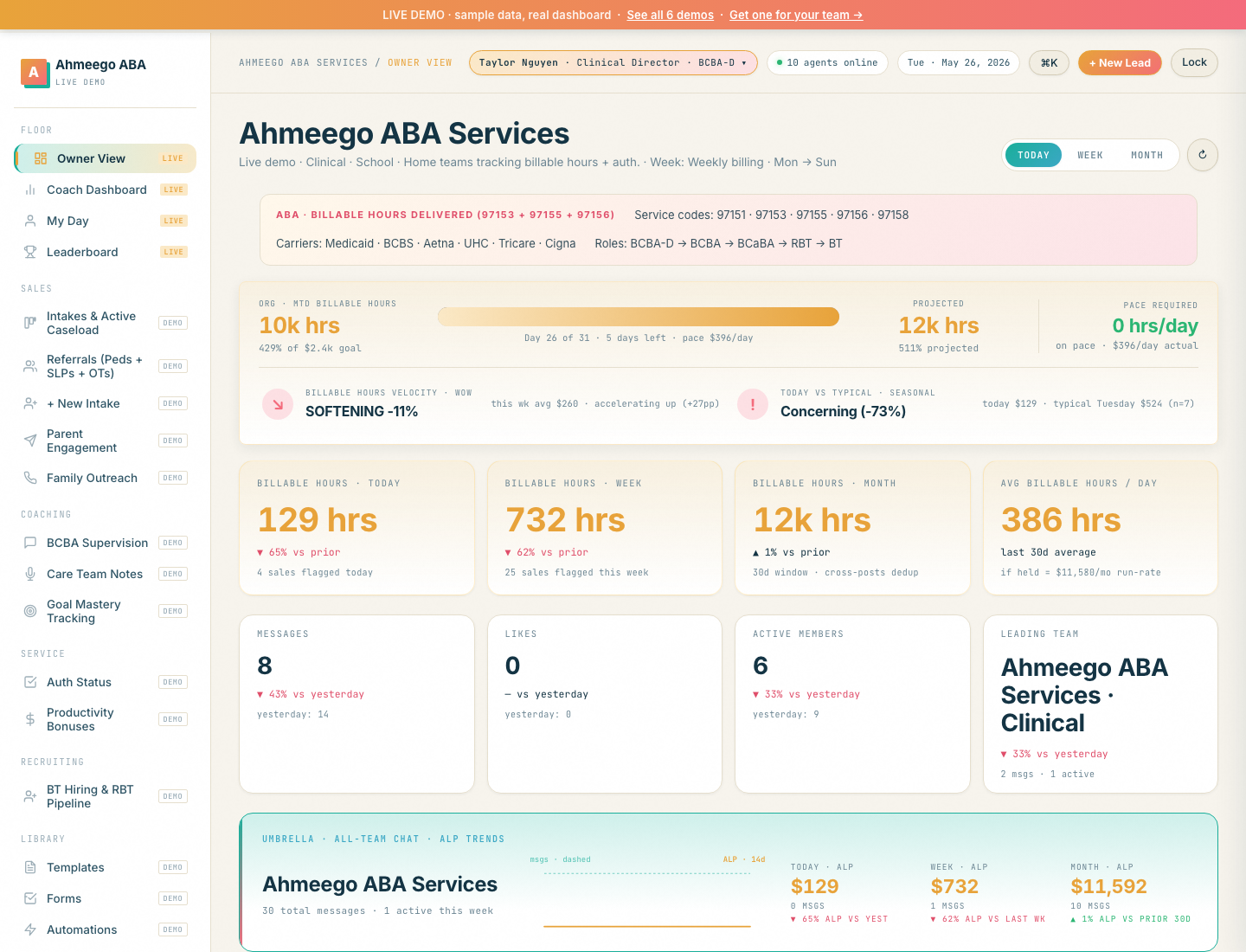Ahmeego ABA demo dashboard — billable hours, authorization utilization, and BCBA supervision watch